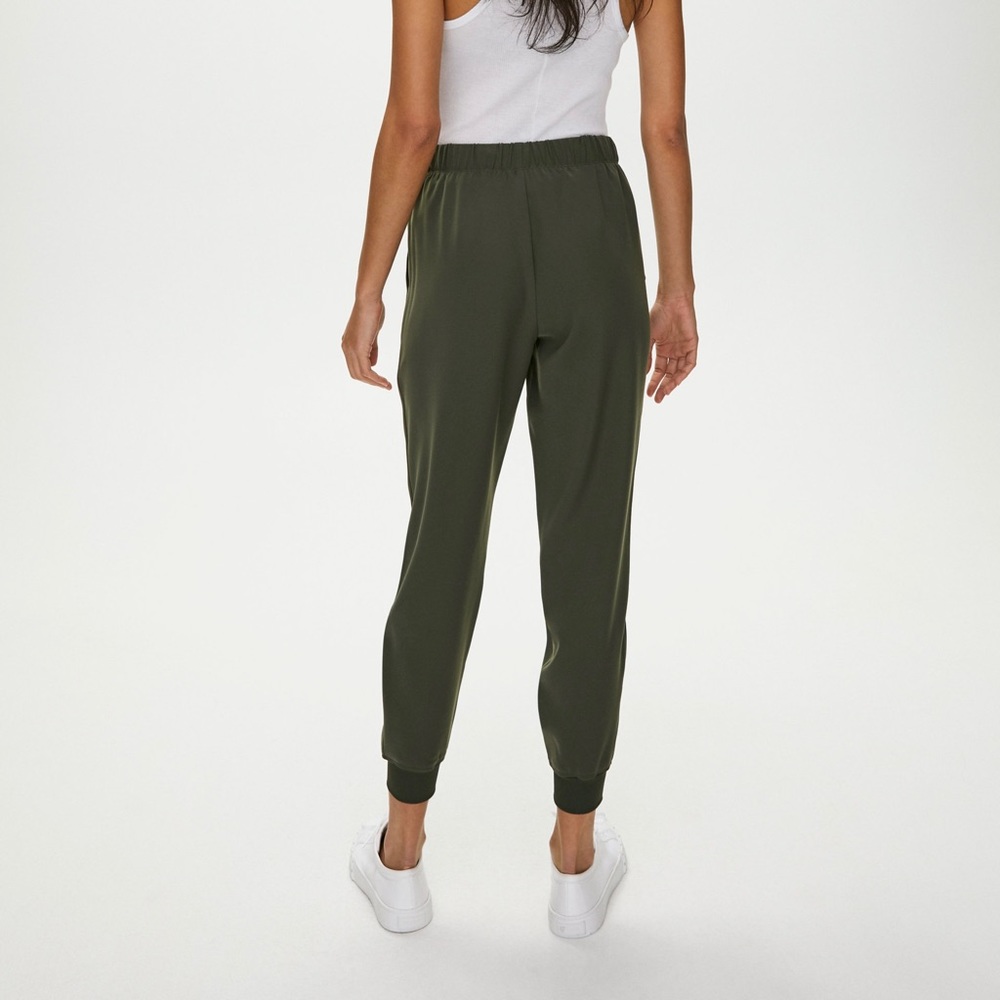Aritzia Wilfred Jogger